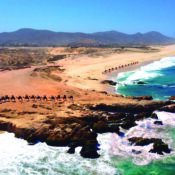 tour de camellos para Grupos y Eventos Corporativos en Los Cabos