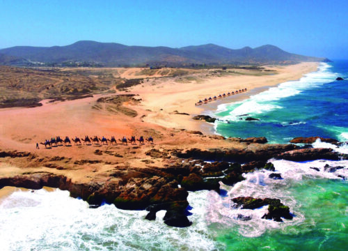 ¿Qué hacer en Los Cabos en tus vacaciones?