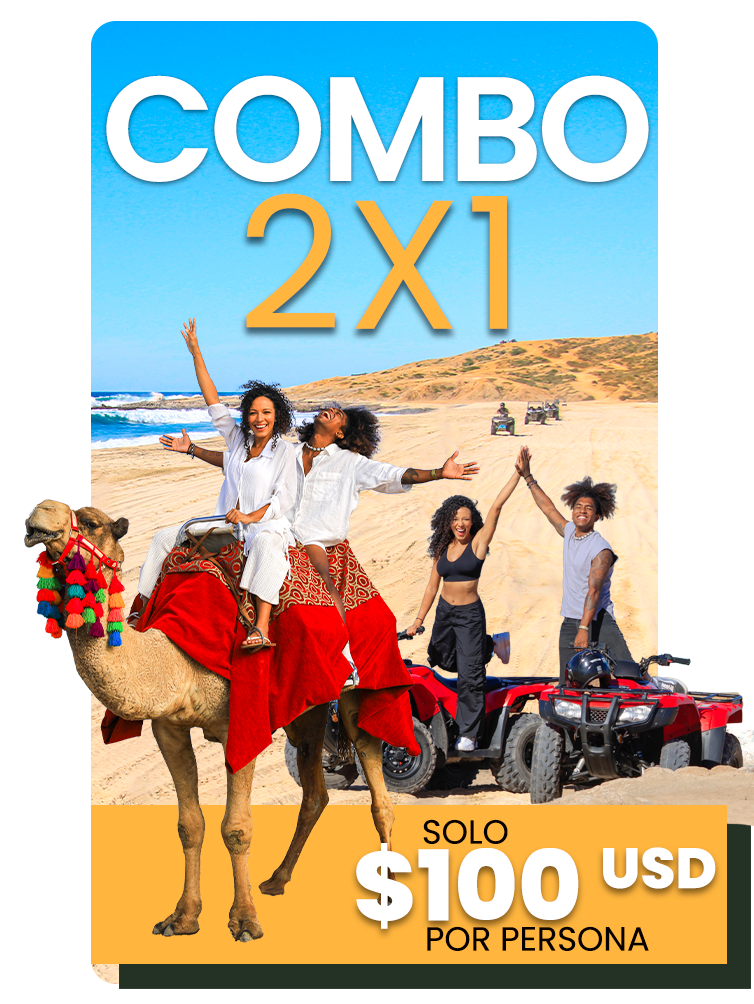 Cabo Tours Promo 2X1