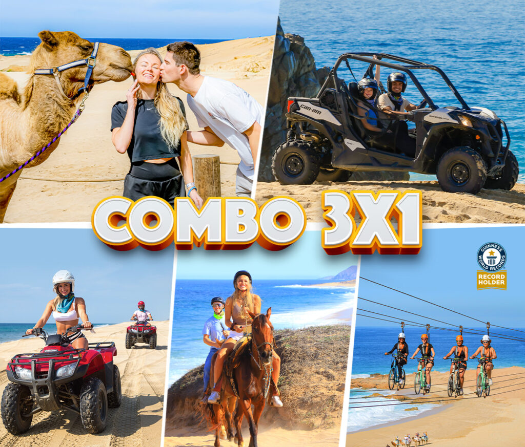 Cabo Tours Promo 3X1 combo